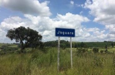 jaguara plantation brazilie